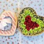 201403022006_hop_tim_2_mau_20x23_200k