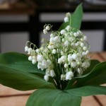 cach-tang-hoa-vo-hoac-chong-ky-niem-ngay-cuoi